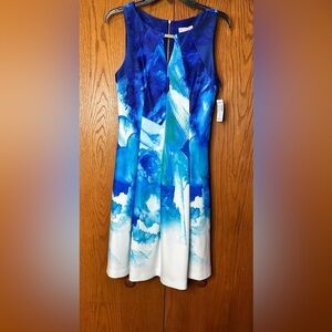 CB Established 1962 Aqua Blue Watercolor Fit And Flare Zip Up Dress Size 8